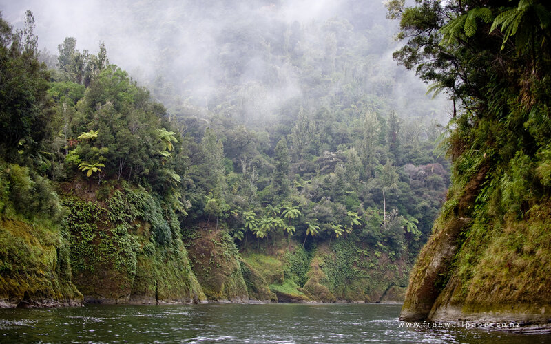 River Through Forested Canyon — Green, Misty