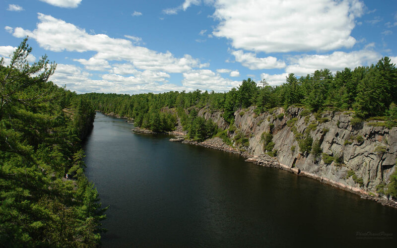 River Through Forested Canyon — Green