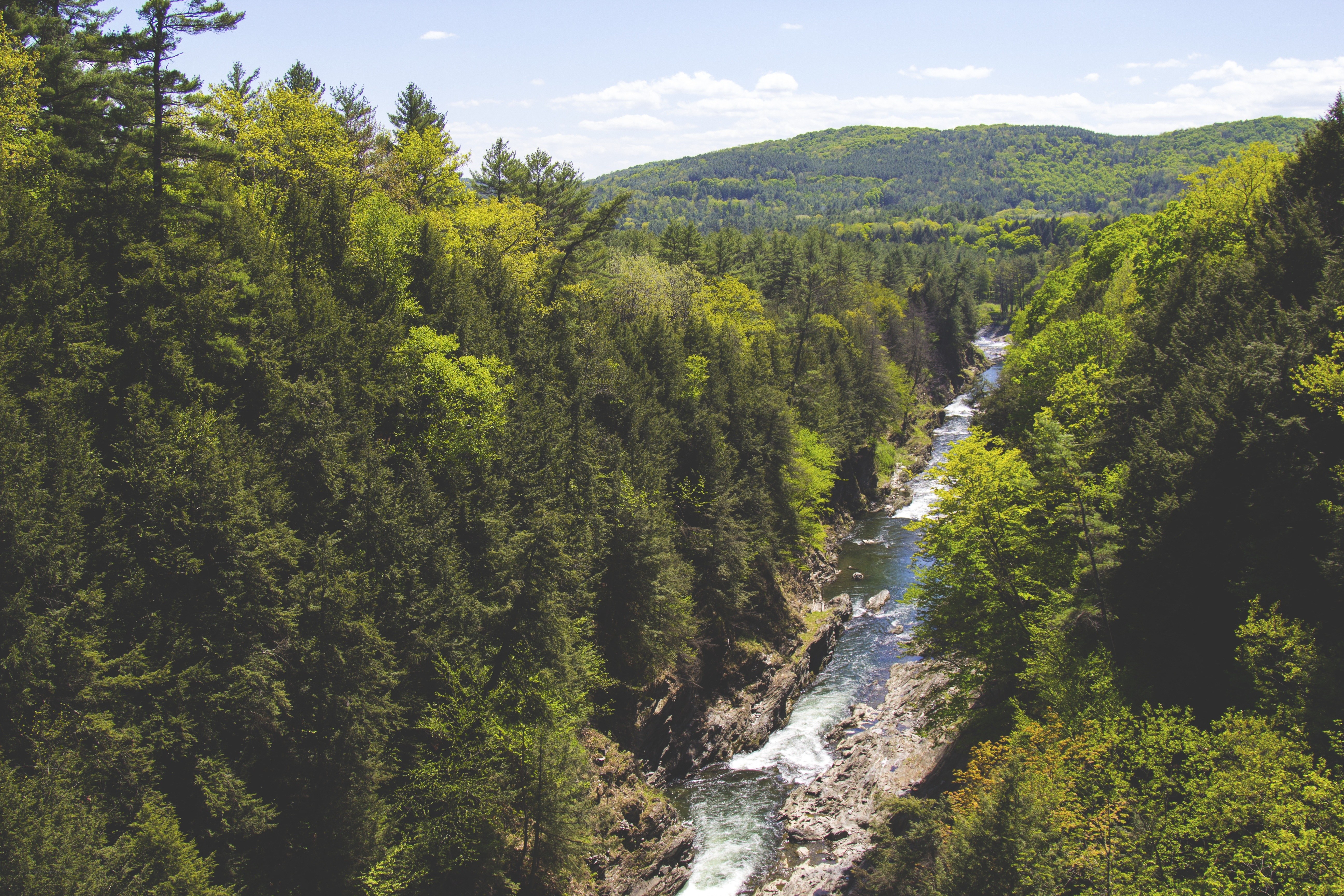 river through forested canyon