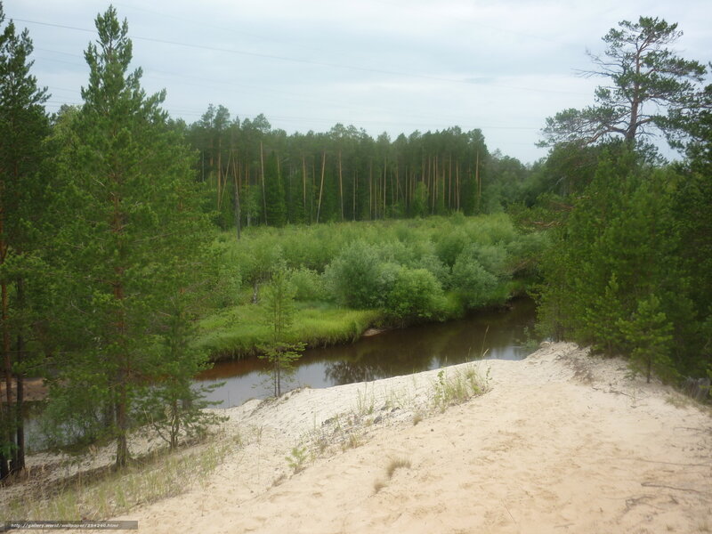 River through forested dunes