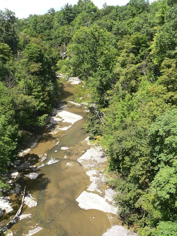 river through forested gorge