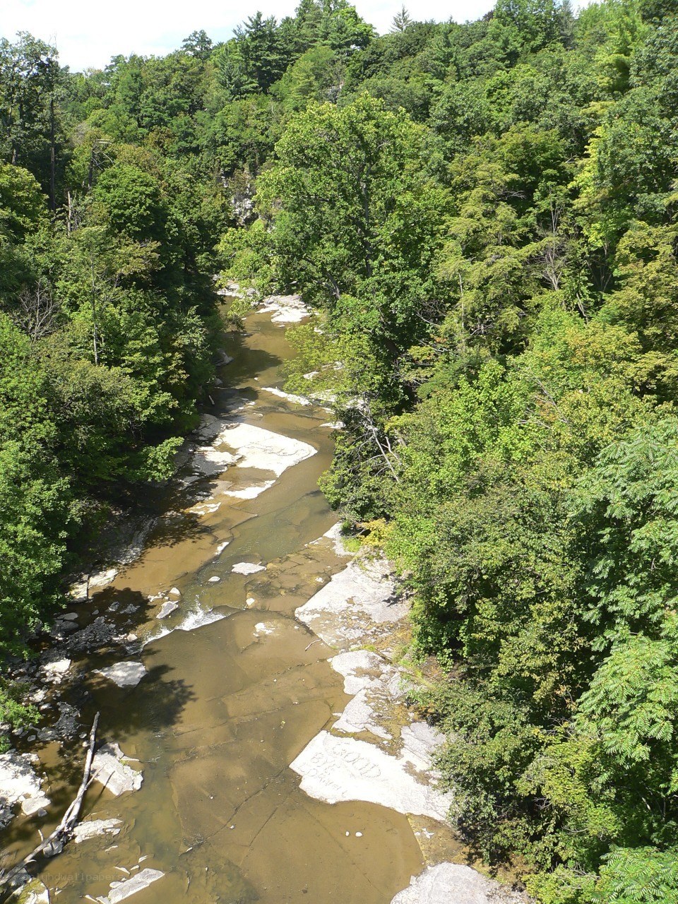 river through forested gorge