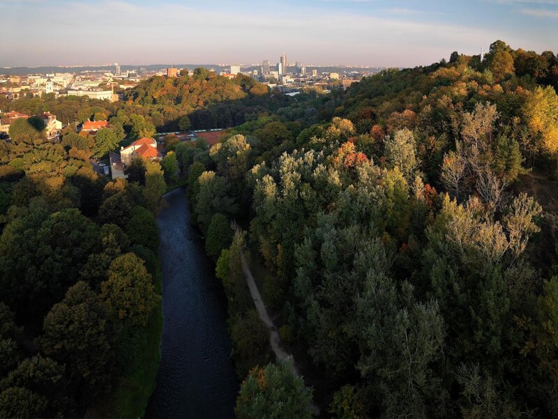 River Through Forested Hills — Green, Serene