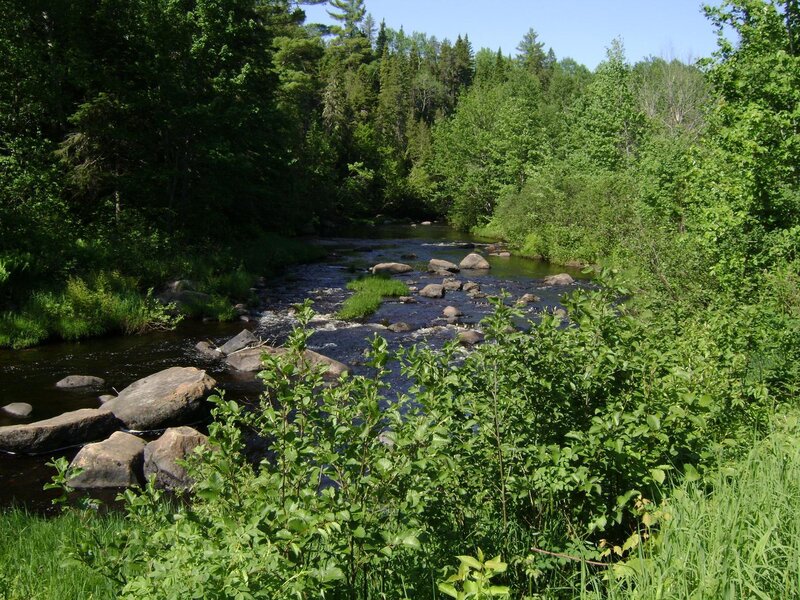 River through forested landscape