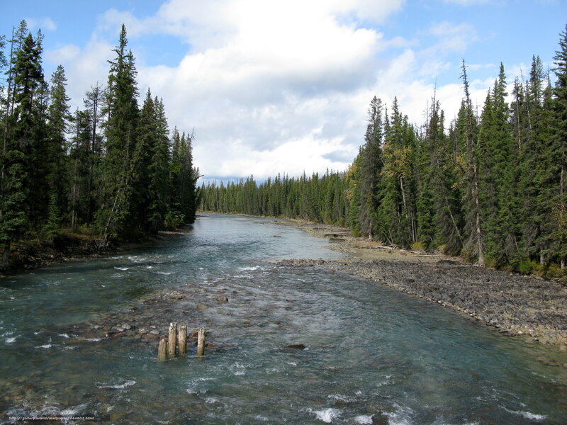 river through forested landscape