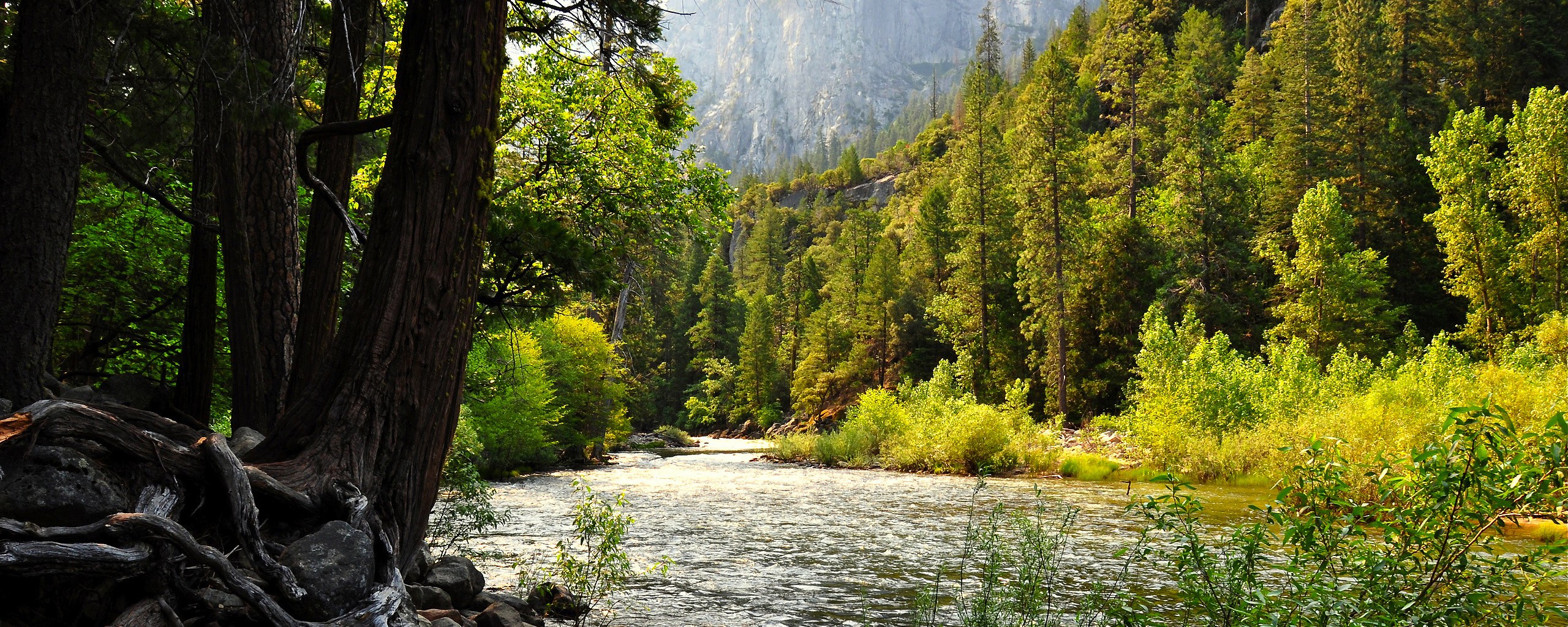 River through forested valley