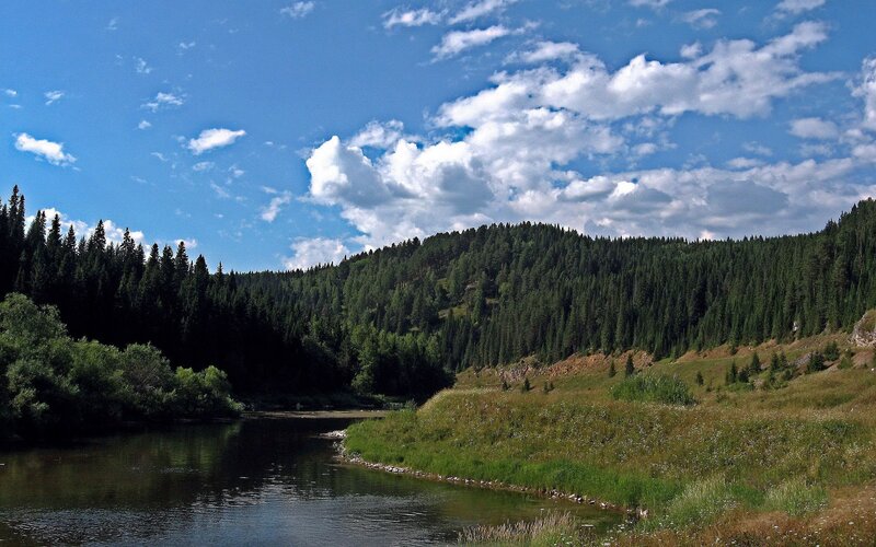 River through forested valley