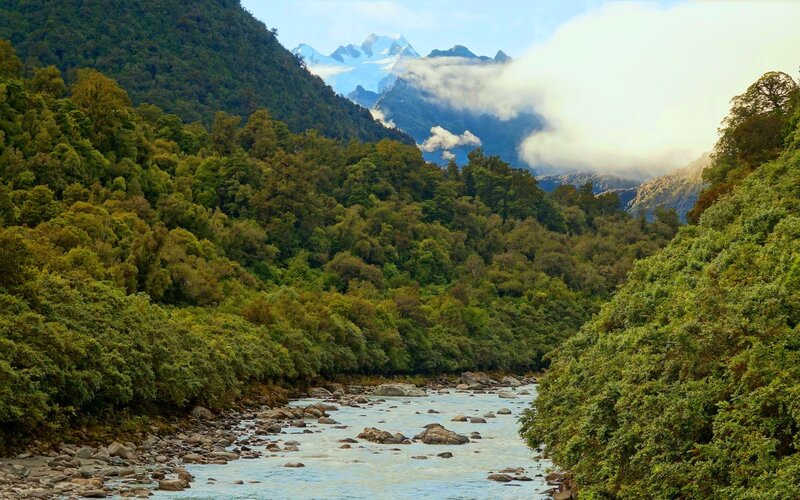 river through forested valley