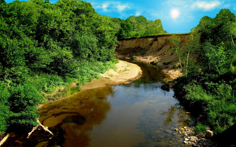 River through forested valley