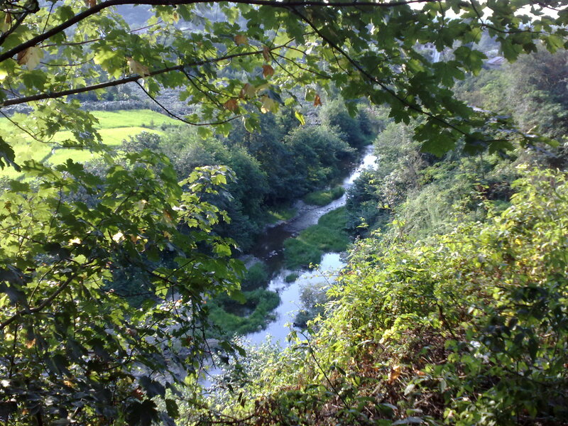 River through forested valley