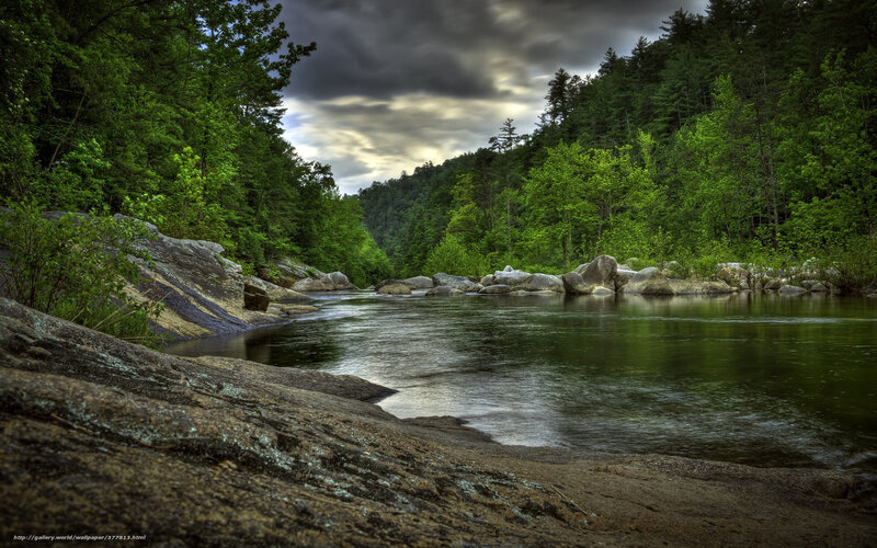 River through forested valley