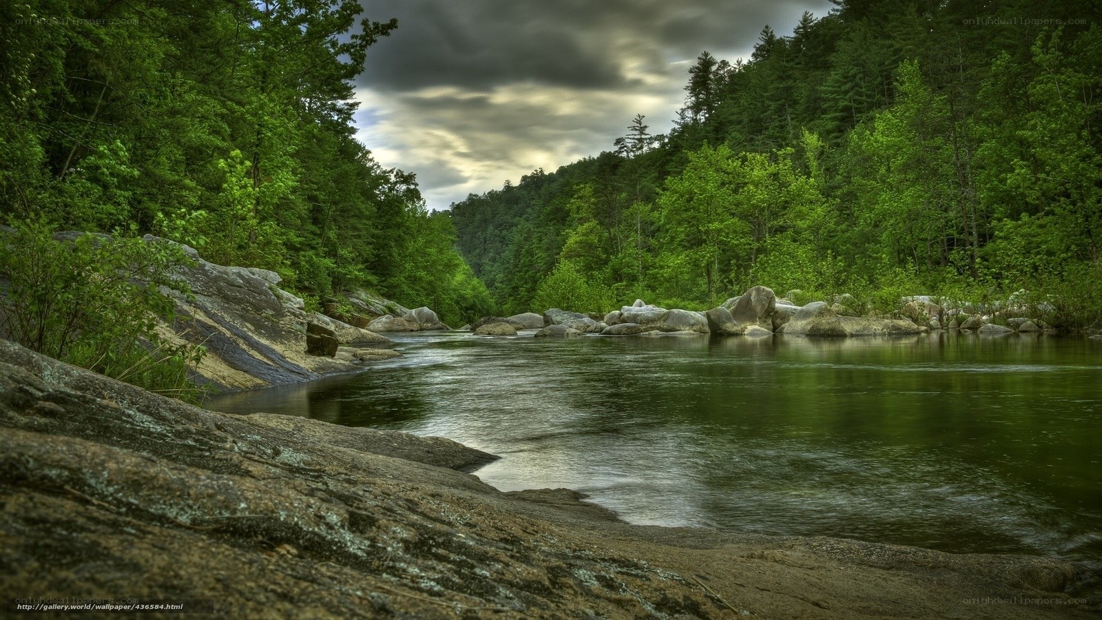 River through forested valley