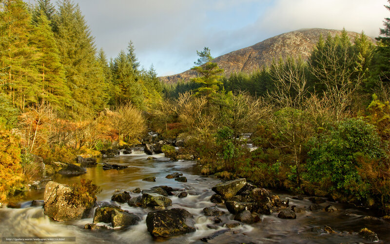 River through forested valley