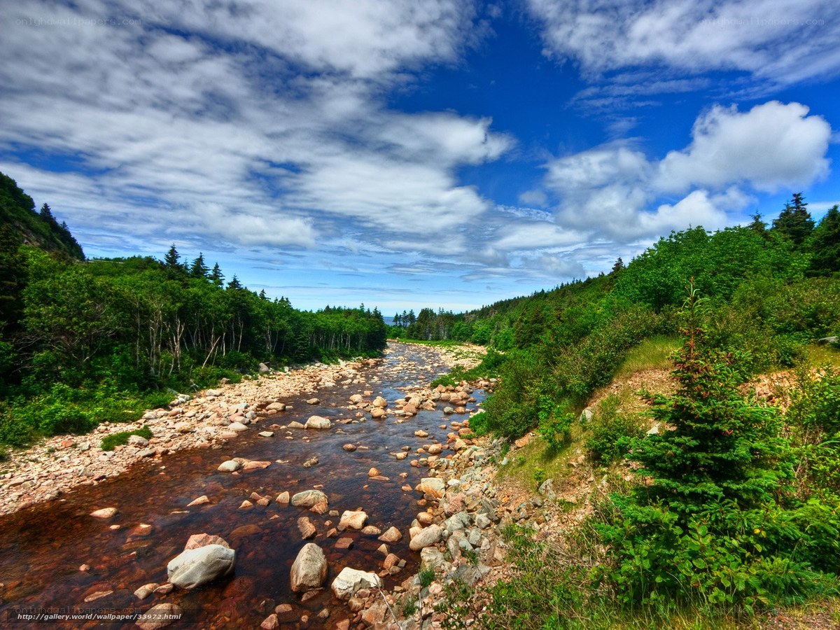 River through forested valley