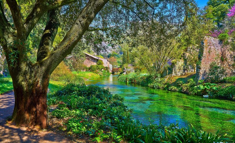 River Through Garden — Green, Serene