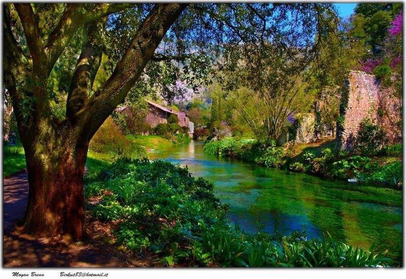 River Through Garden