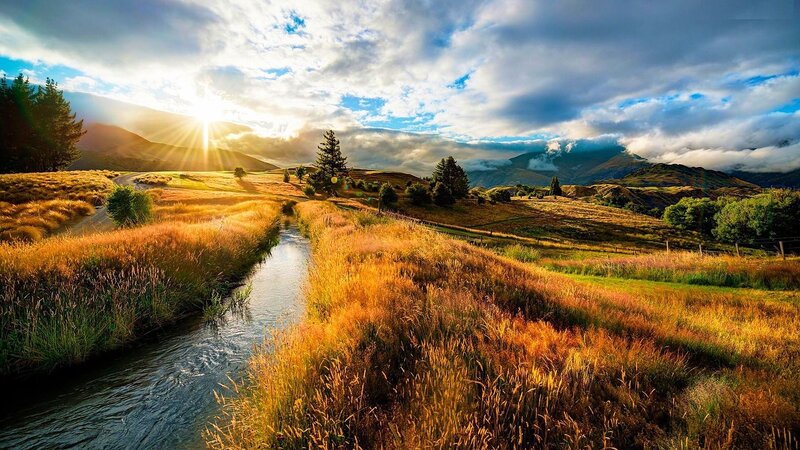 River Through Golden Fields — Gold, Serene