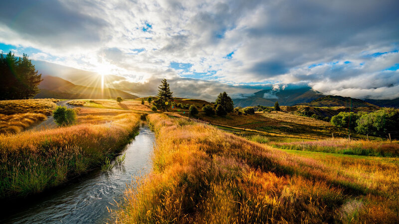 River Through Golden Fields — Gold