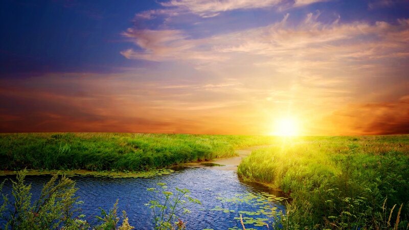 River Through Grassland — Green