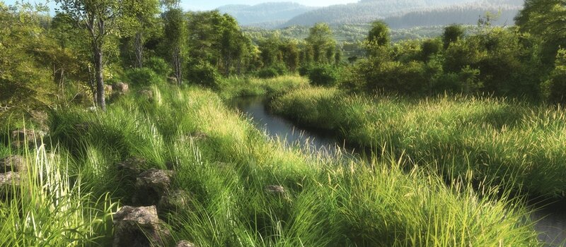 River Through Grassy Field — Green, Serene, Afternoon, Digital Art