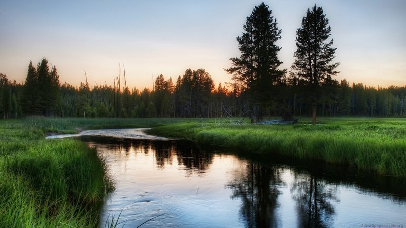 River Through Grassy Field — Green, Serene