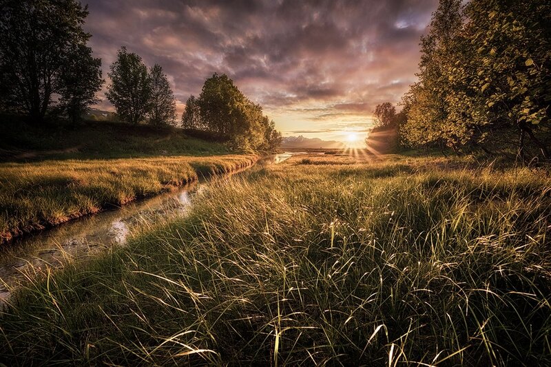 River Through Grassy Field — Green