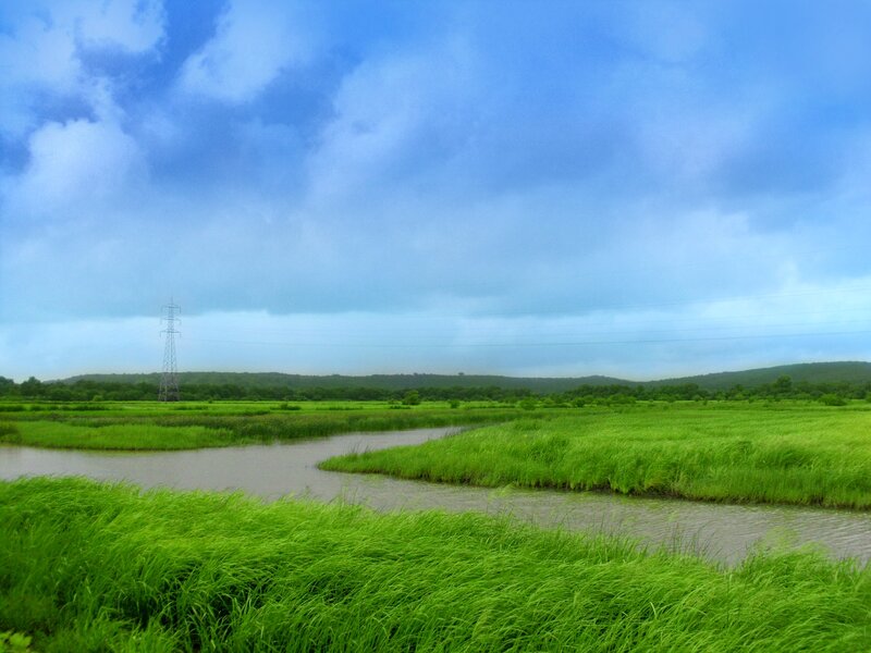 River Through Green Fields — Serene, Afternoon, Photograph