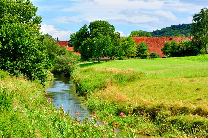 River Through Green Fields — Serene, Afternoon