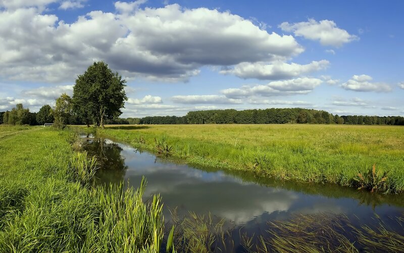River through green fields