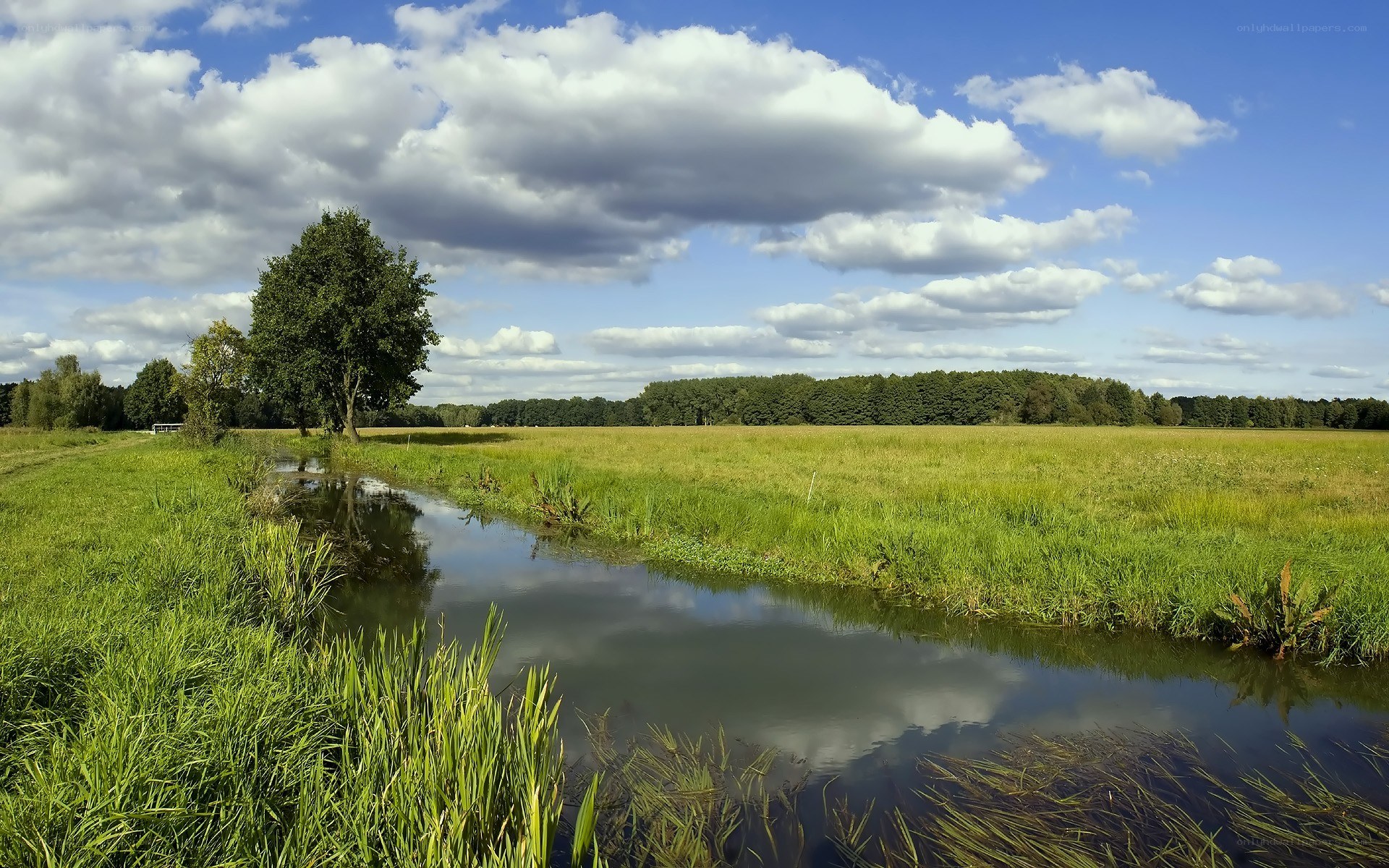 River through green fields