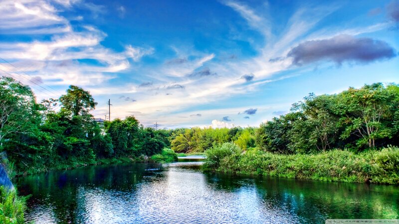 River Through Green Landscape — Blue