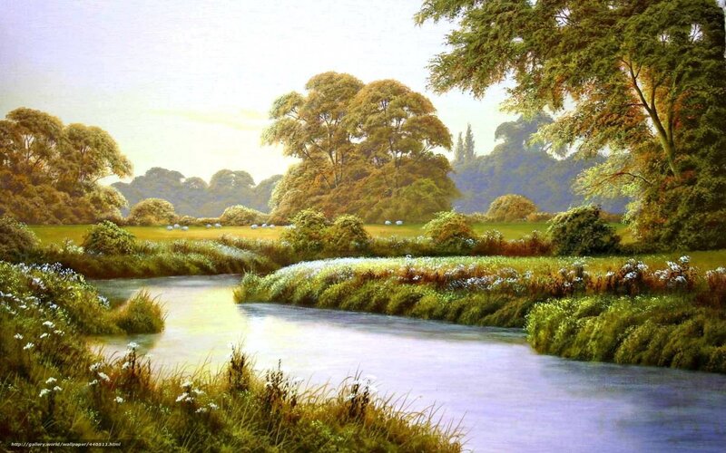River Through Green Landscape — Serene, Afternoon