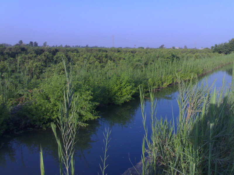 river through green landscape