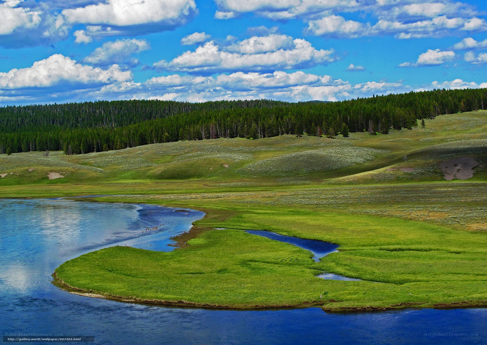 River through green meadow