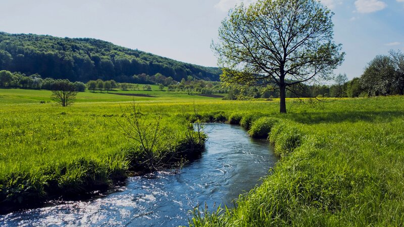 River through green meadow