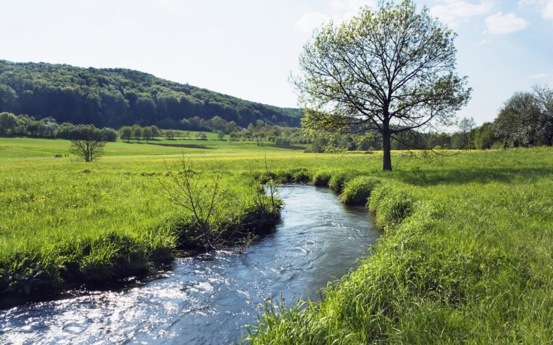River through green meadow