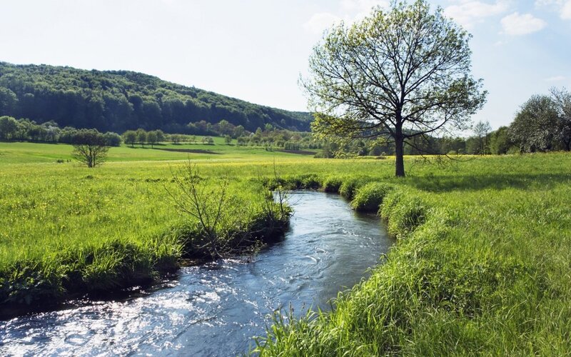 River through green meadow