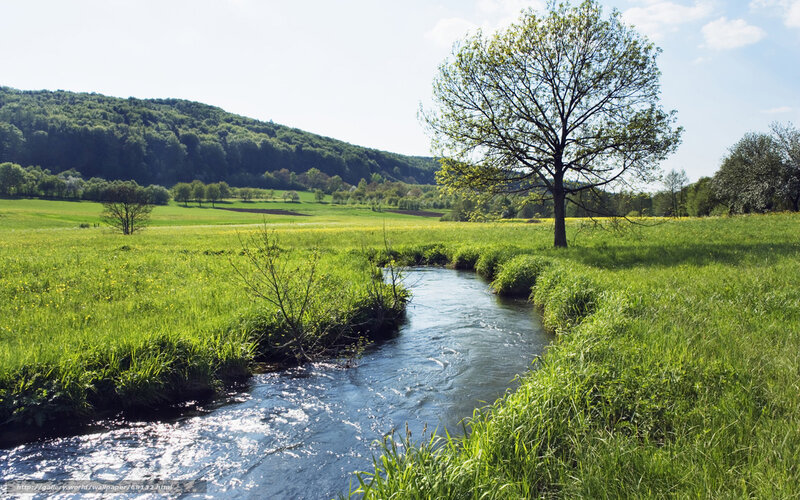River through green meadow