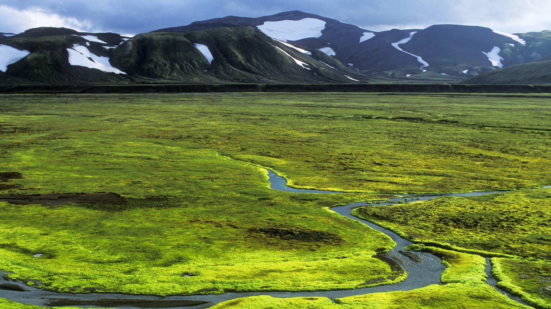 River through green valley