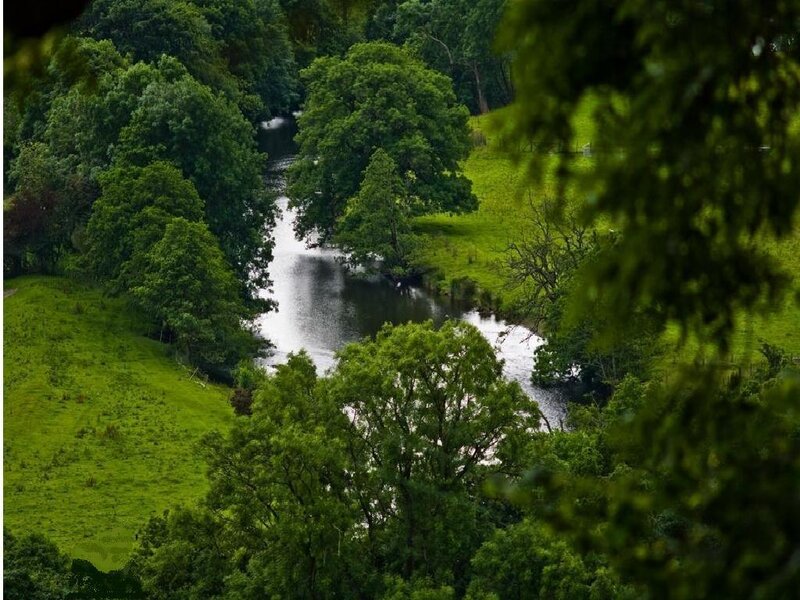 River through green valley
