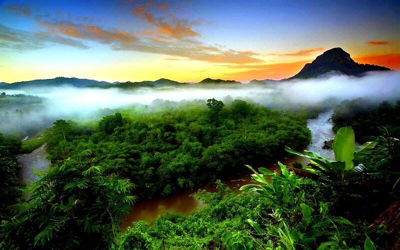 River Through Jungle Valley