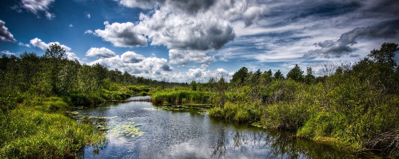 River through lush green wetlands