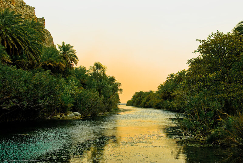 River Through Lush Vegetation