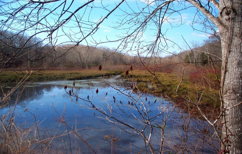 River Through Marshland — Blue, Serene