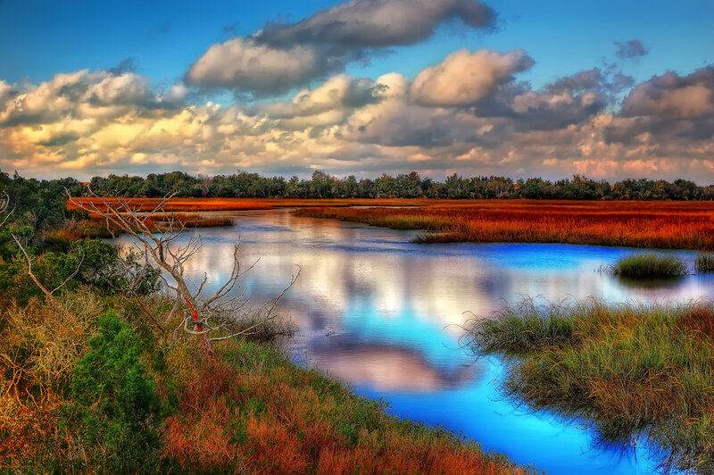River Through Marshland — Blue