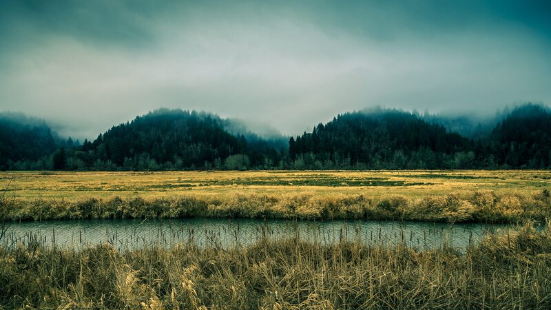 River Through Marshland — Green, Moody