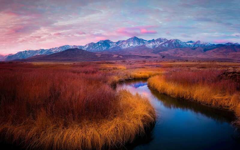 River Through Marshland — Purple