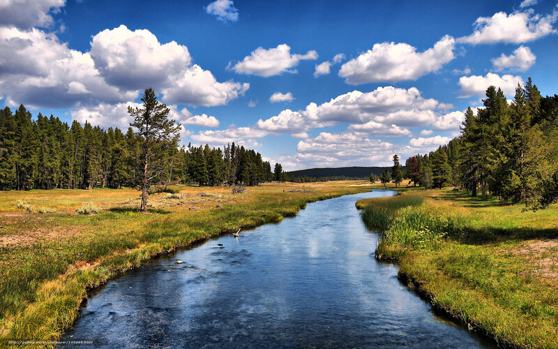 River Through Meadow