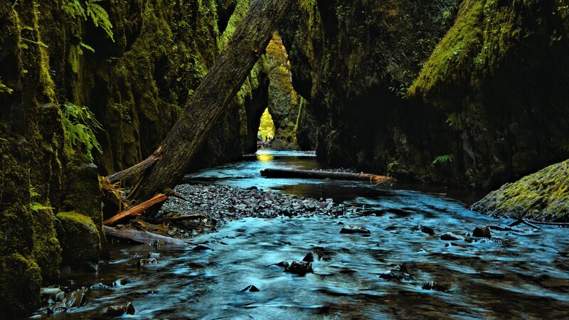 River Through Mossy Canyon