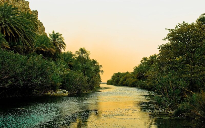 River Through Palm Grove — Green, Serene, Sunset